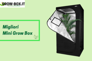 migliori mini grow box