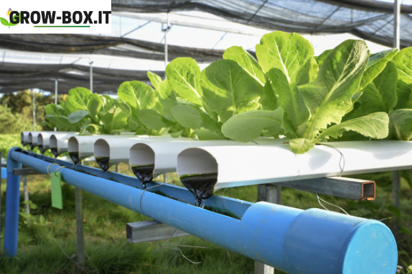 Kit Idroponica Growers Choice - Vasi In Plastica Riciclata Da 10L E Accessori Per Coltivazione Indoor/Outdoor